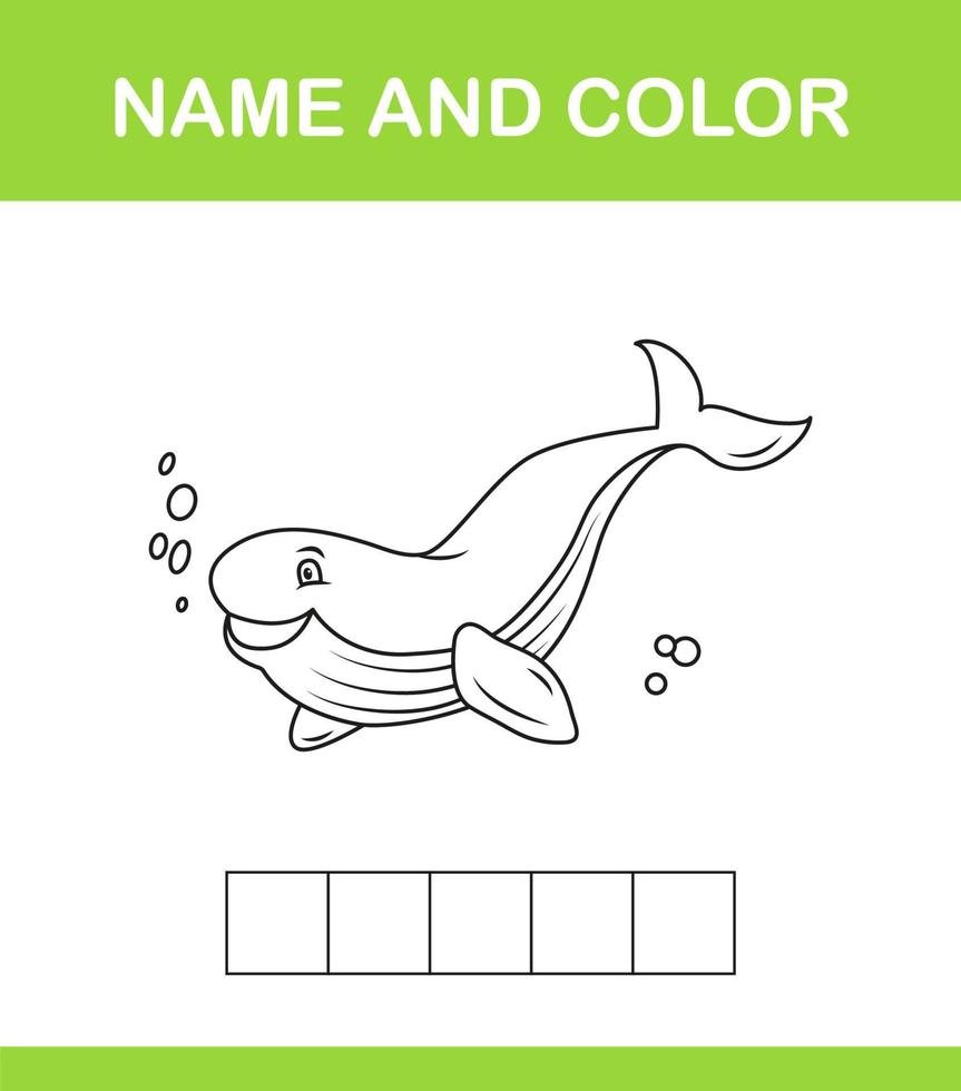 Name and color 14 vector