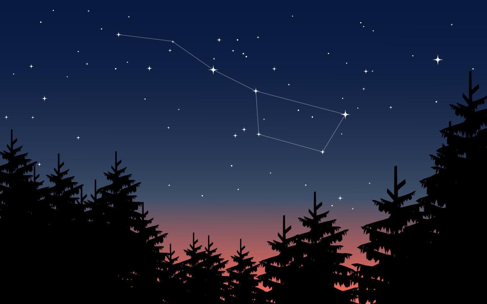 Night sky in pine forest with constellation vector