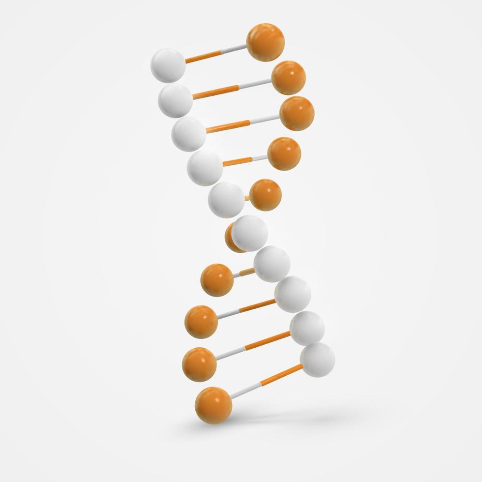 Abstract  colorful Dna molecule isolated on white background vector