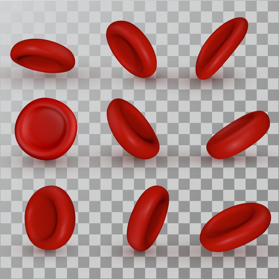 Vector red Blood Cells