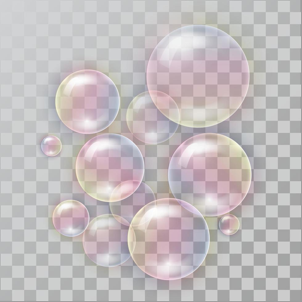 Realistic soap bubbles with rainbow reflection vector