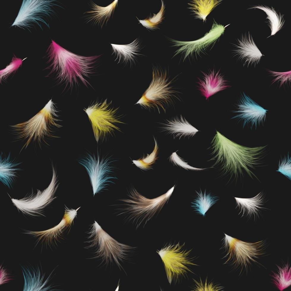 Colorful feathers  on black background. vector