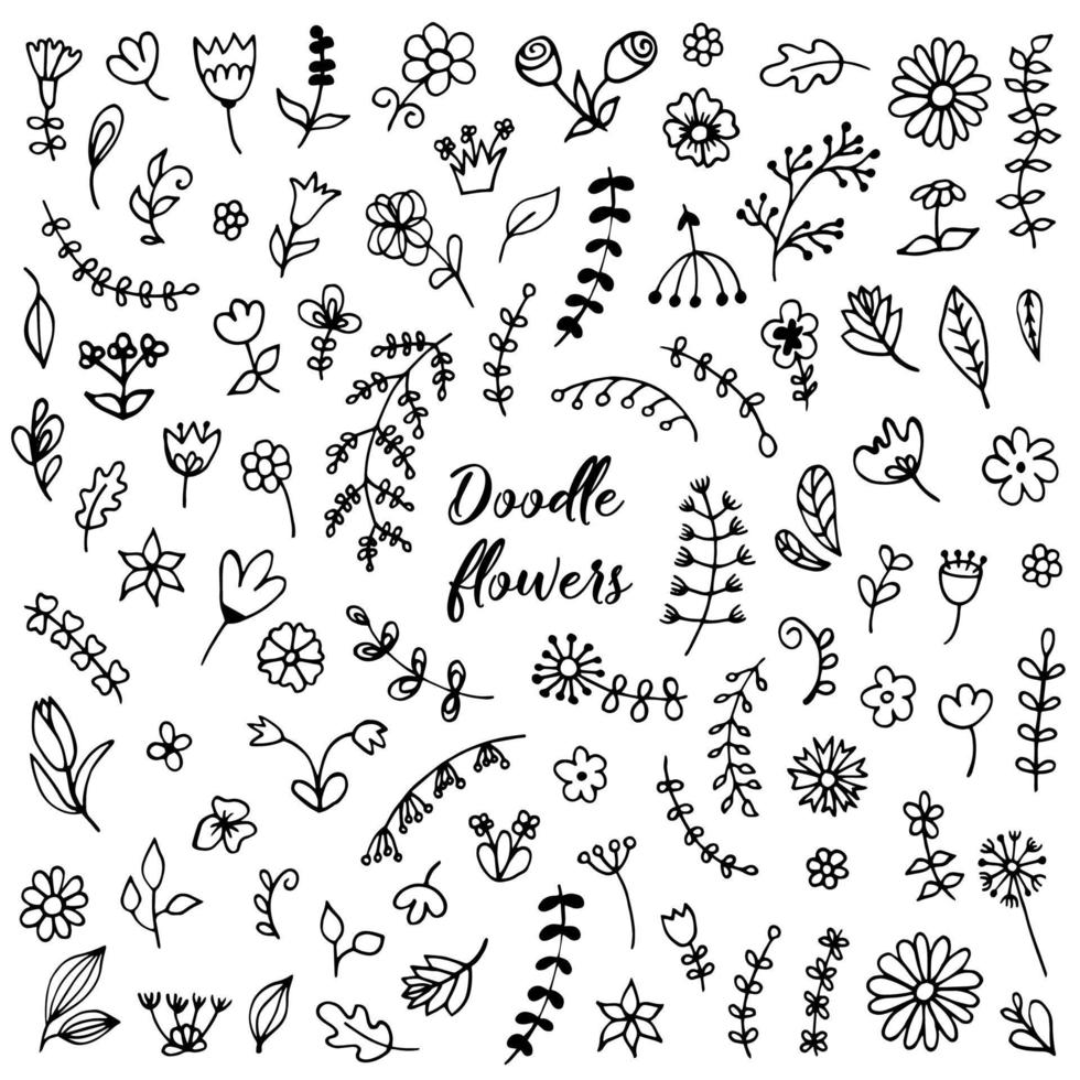 Doodle flowers and leaves vector