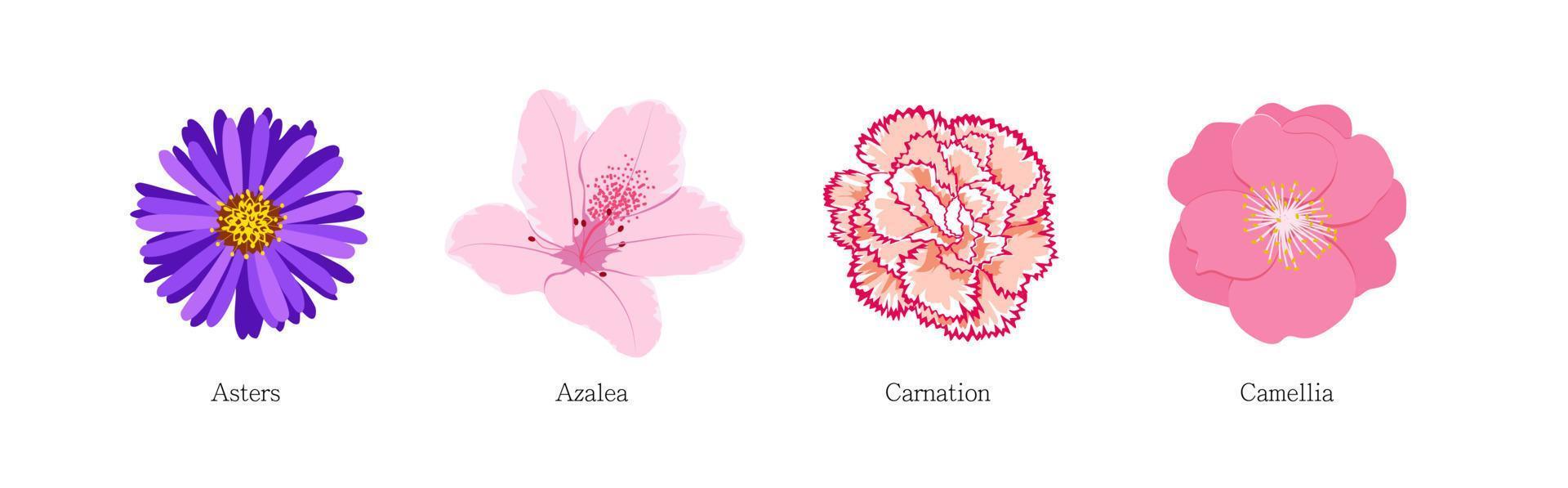 Set of different flowers on white background. vector
