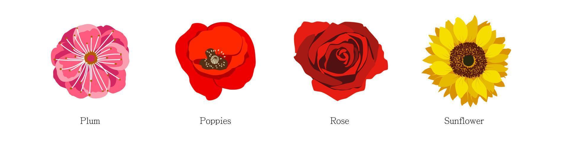 Set of different flowers on white background. vector