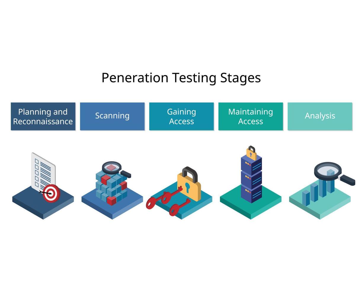 Penetration Testing stages to better understand how a potential cyber attack and its potential vulnerabilities for security vector