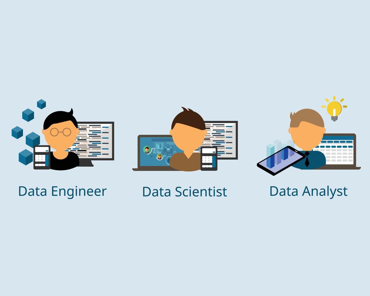 data engineer vs data scientist vs data analyst vector