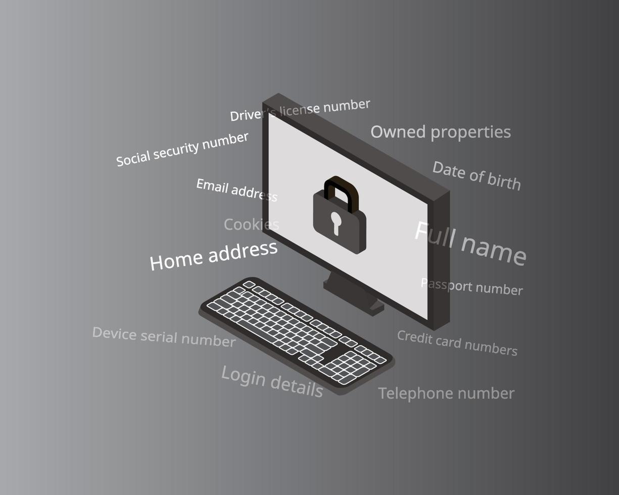 Personally identifiable information PII for sensitive data vector