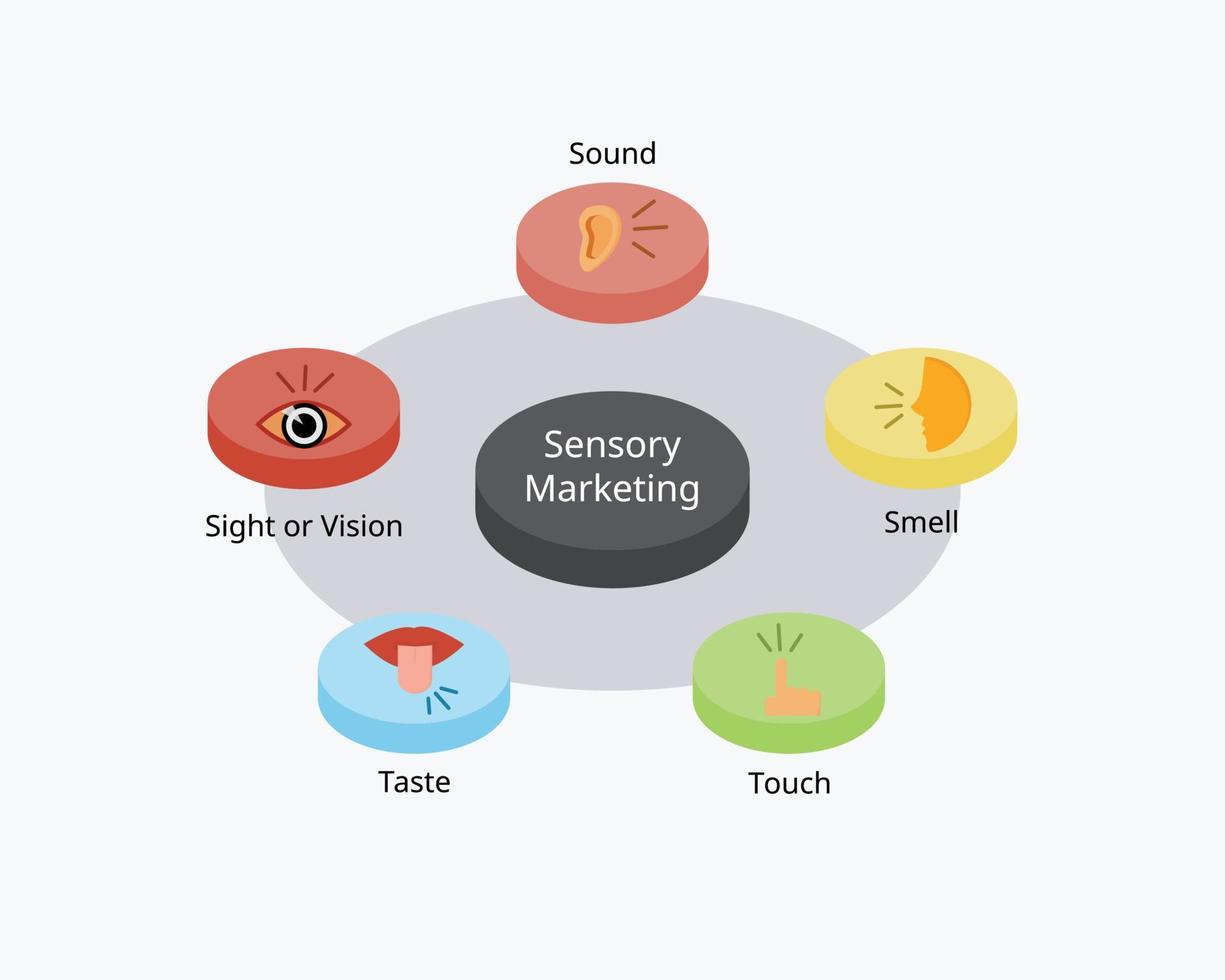 El marketing sensorial o la publicidad sensorial es una campaña de marketing que atrae a los cinco sentidos del público, como la vista, el oído, el tacto, el gusto y el olfato. vector