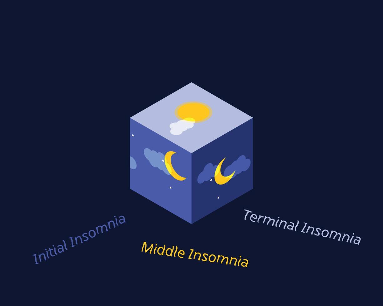 insomnio inicial, insomnio medio e insomnio terminal vector