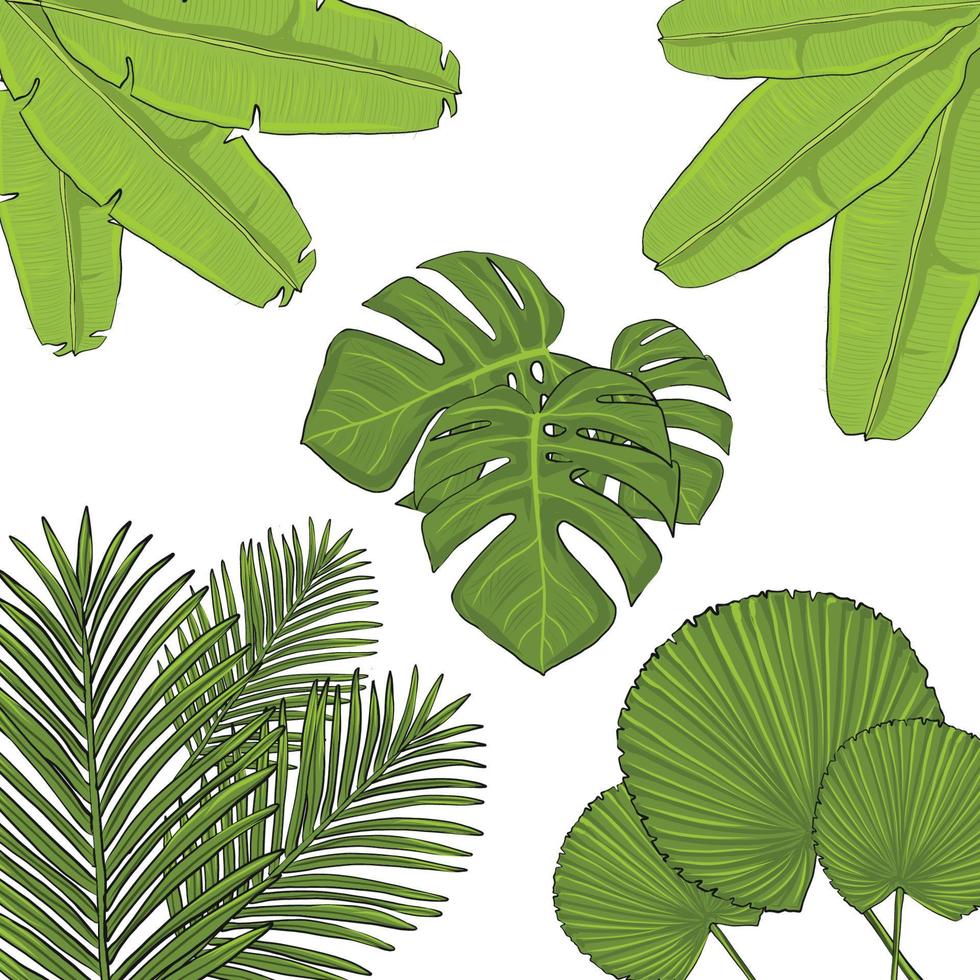 seamless, tropical, planta, hojas, patrón, vector