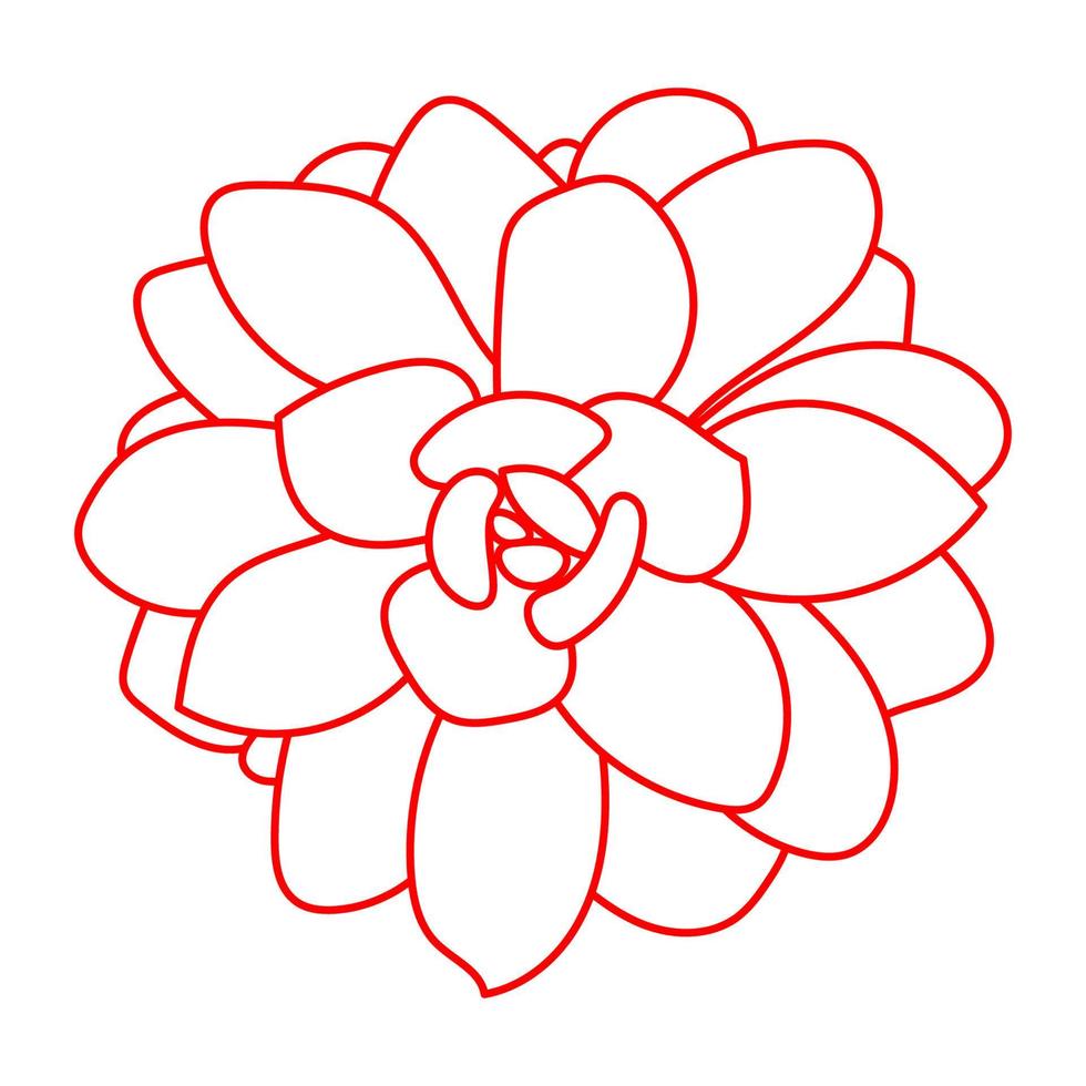 Red Succulent. Doodle vector illustration. Drawing Flower for print. Outline sketch plant.