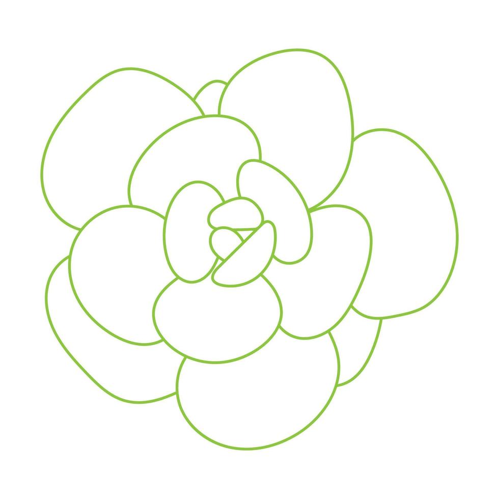 Desert flower for print and design. Doodle Succulent Flower. vector