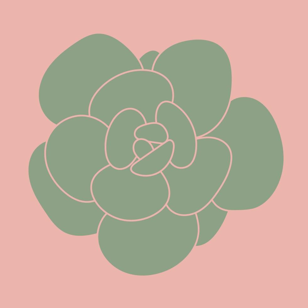 Doodle Succulent Flower. Desert flower for print and design. Modern pattern. vector
