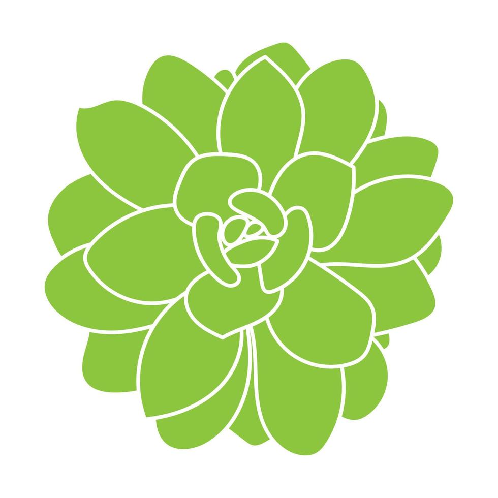 Green silhouette of succulent. Desert flower sketch. Outline drawing plant. Succulent doodle style. vector