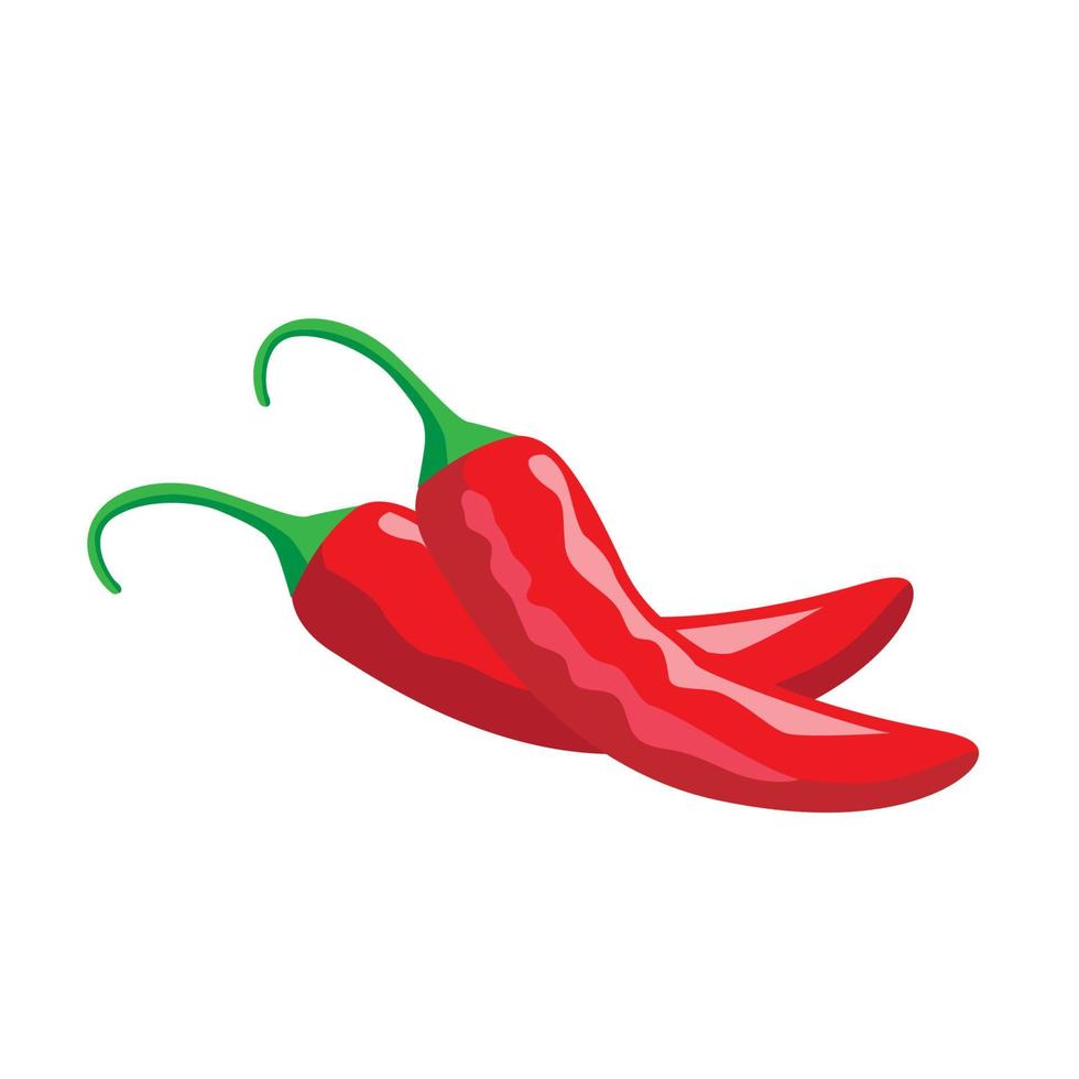 Two red chillis vector illustration