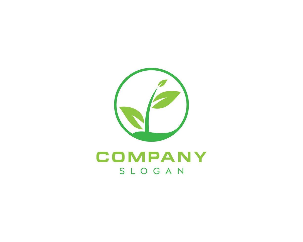 Green fresh leaf logo design-leaf icon design vector