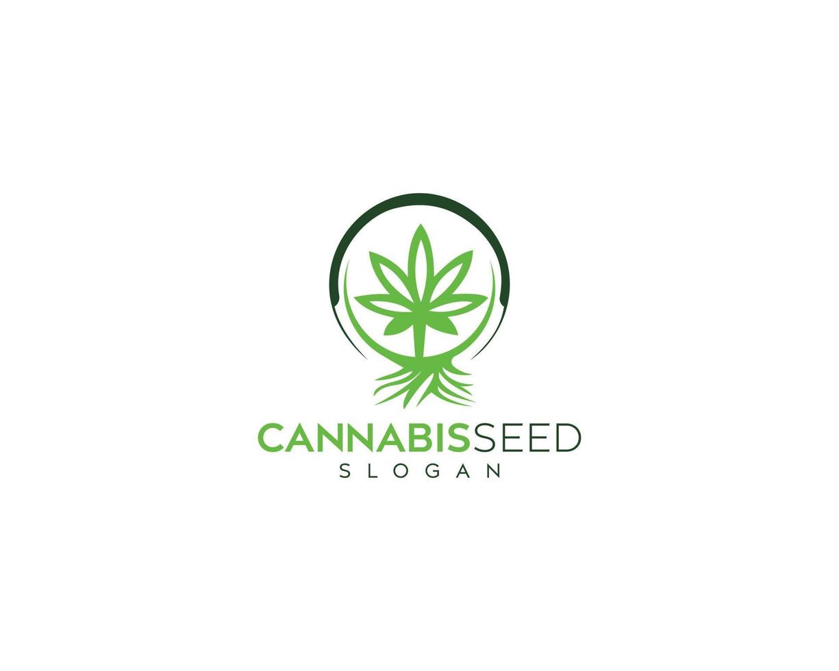 diseño de logotipo de vector de semillas de cannabis frescas