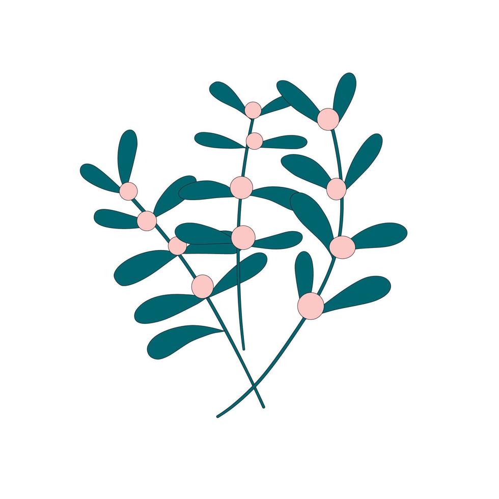 Three elegant branches with berries and green leaves. vector