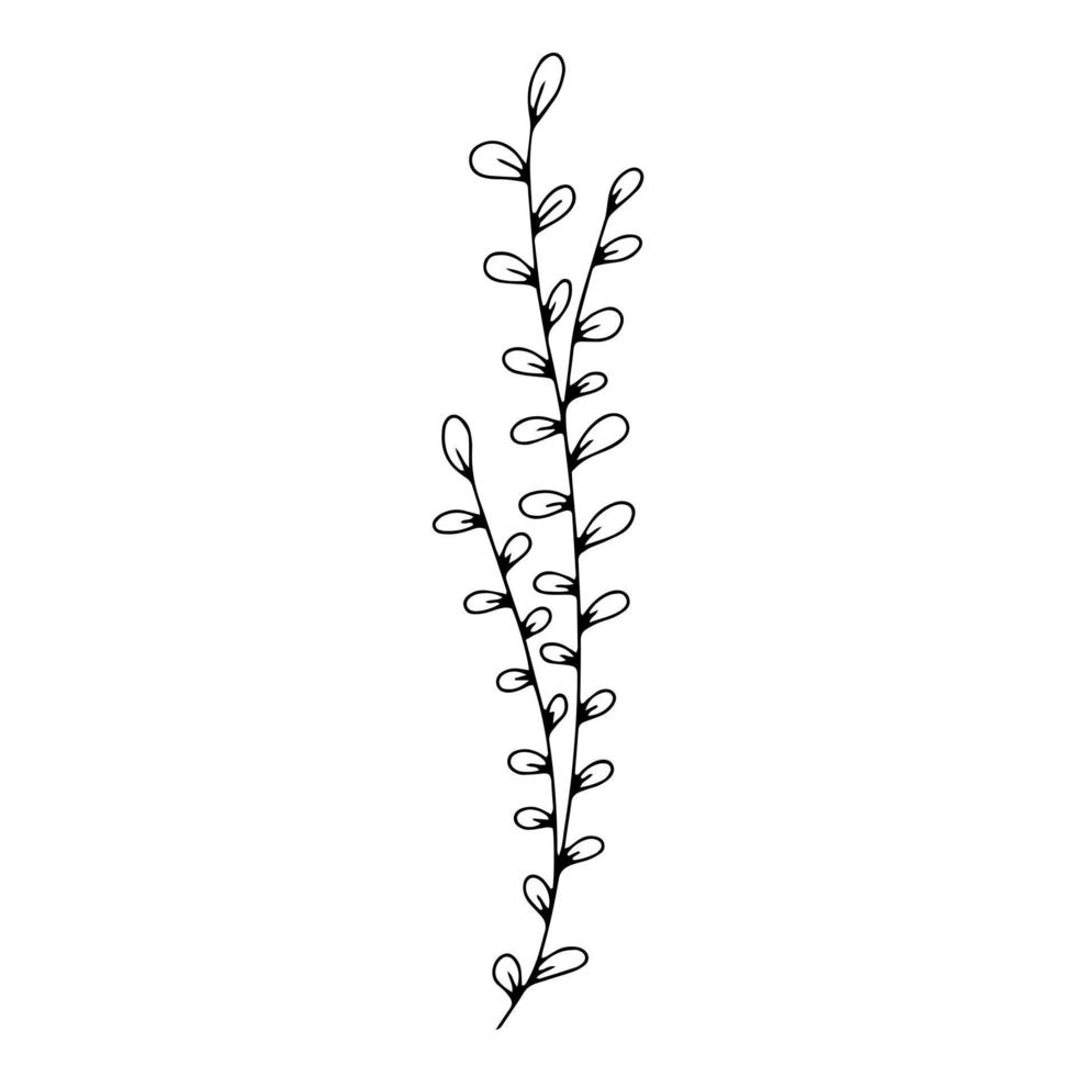 arte de línea botánica hojas florales, planta. rama de boceto dibujado a mano aislada sobre fondo blanco. ilustración vectorial vector