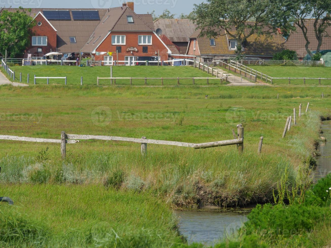 hallig hooge en el mar del norte alemán foto