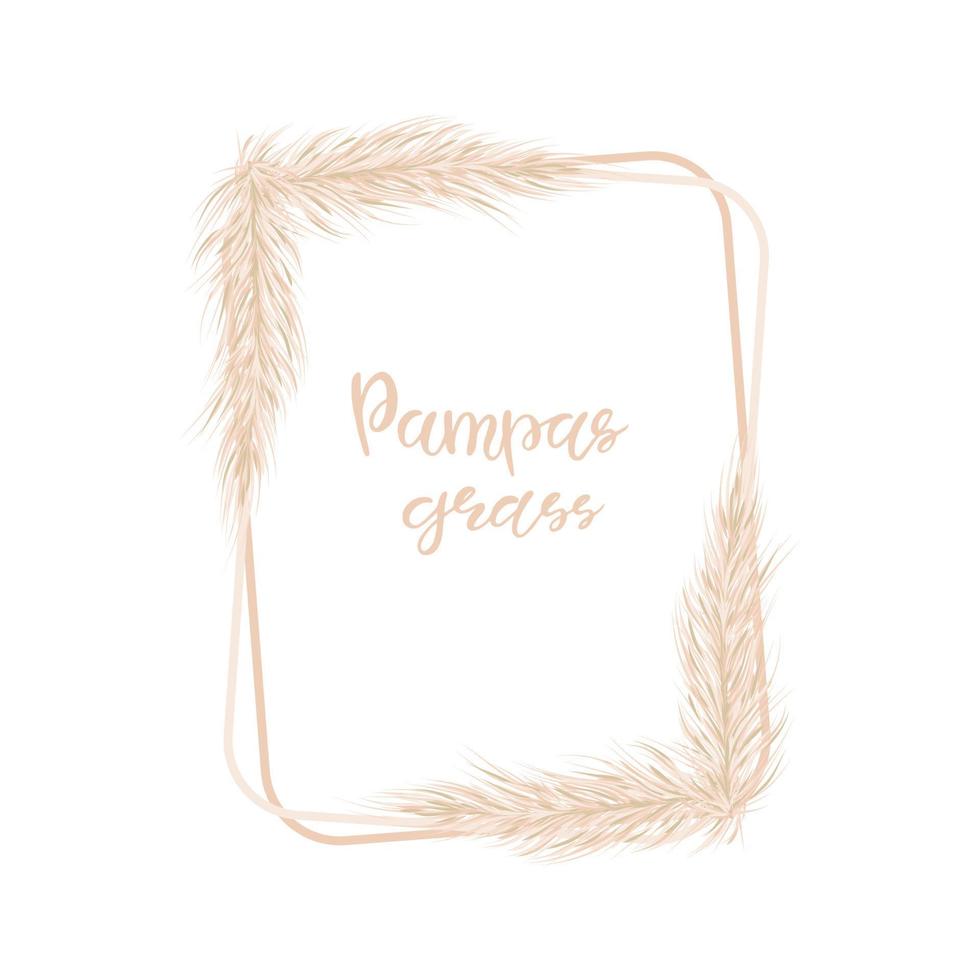 Rectangular vertical frame with dry pampas grass white isolated background. For the design of wedding invitations and postcards. Vector soft illustration