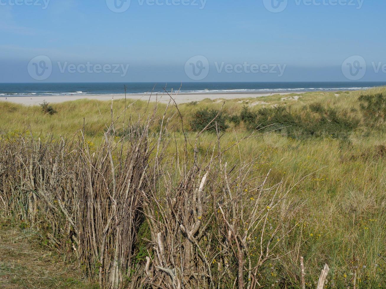 the island of Juist photo