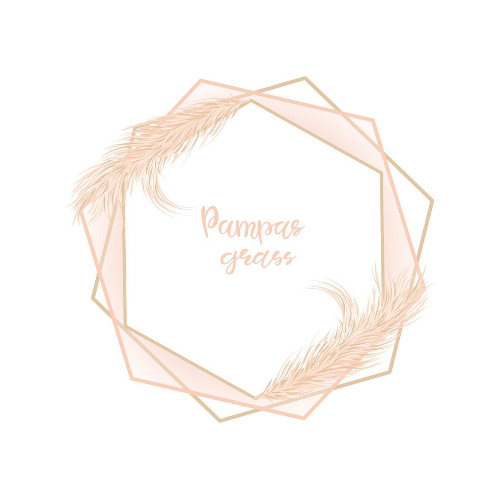 Dry Pampas grass. Soft frame for wedding invitations or postcards. Vector illustration on a white isolated background