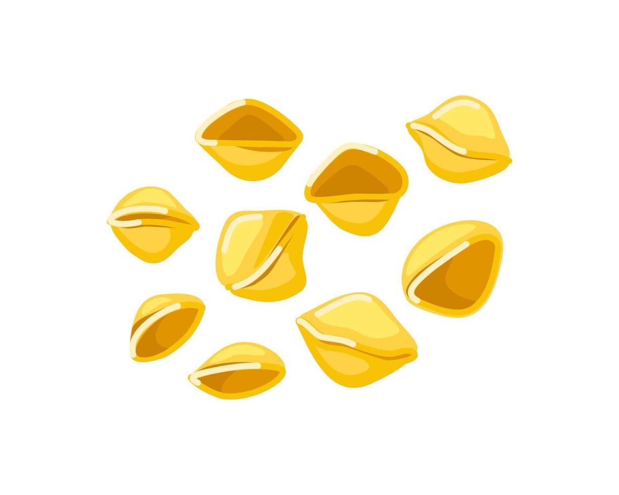 conchas de pasta sobre un fondo blanco aislado. macarrones italianos. ilustración vectorial de dibujos animados sobre un fondo blanco aislado. macarrones italianos. ilustración vectorial de dibujos animados vector