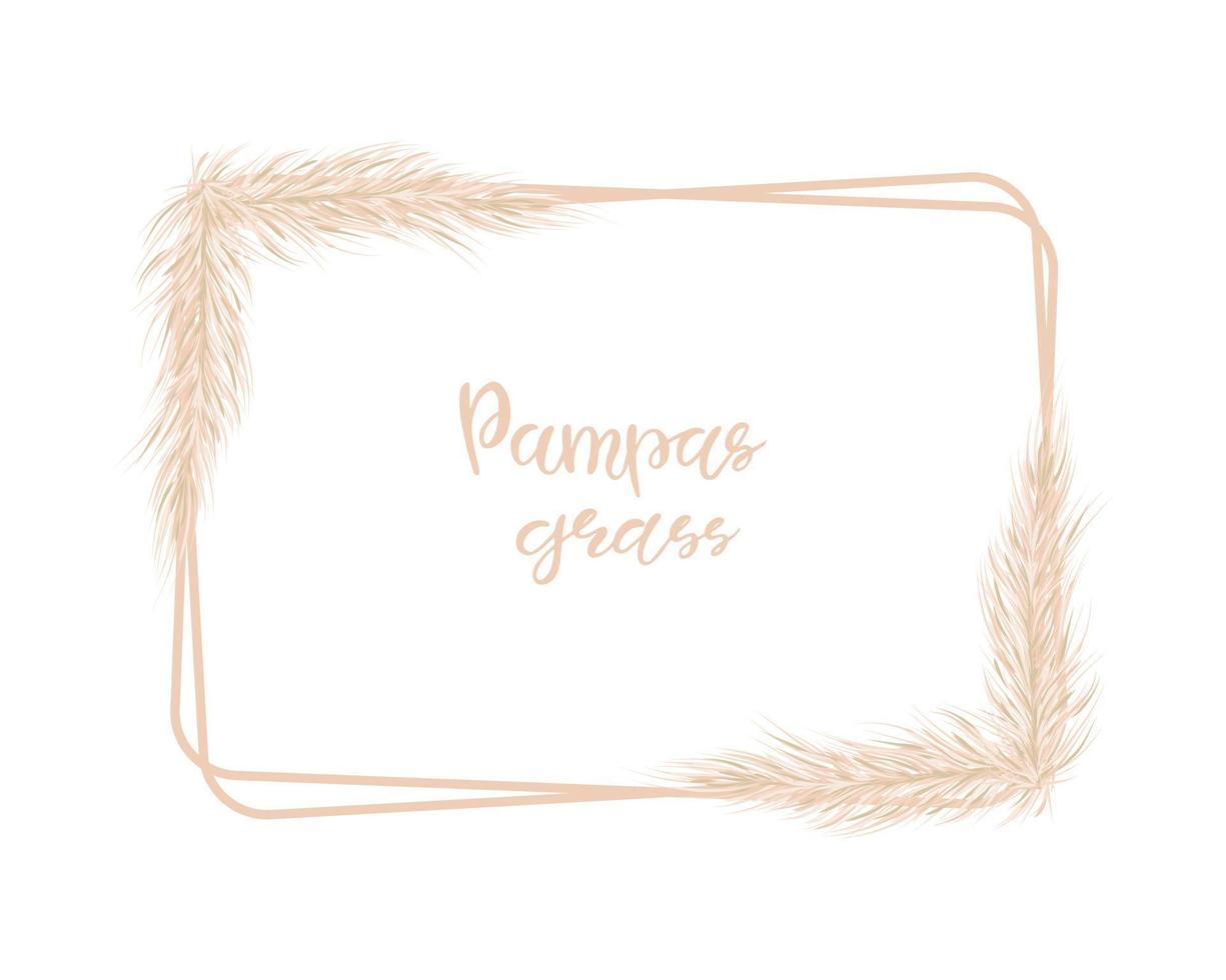 fondo rectangular de hierba de pampa. decoración de invitaciones y postales al estilo boho. ilustración vectorial vector