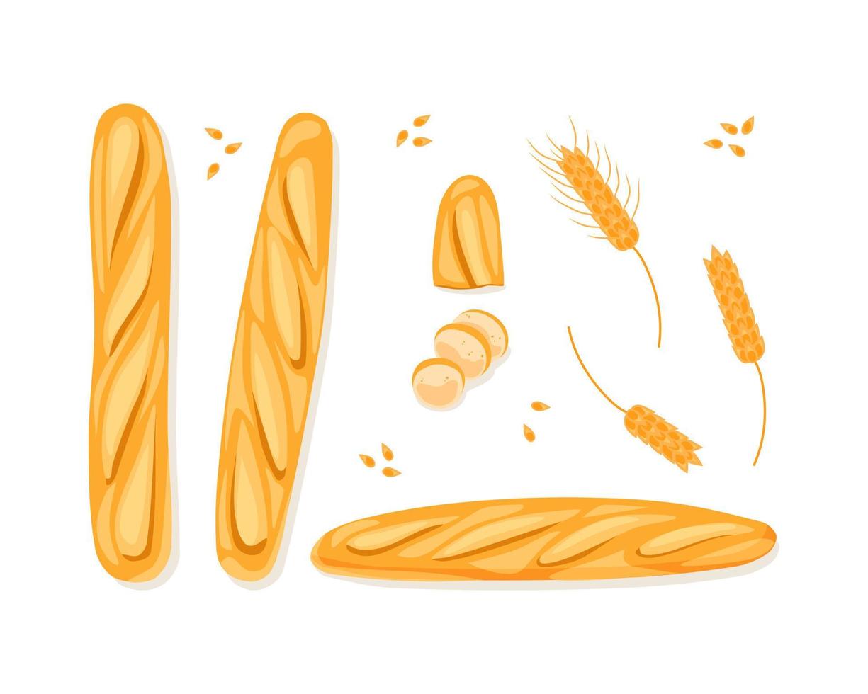 French baguette set on a white isolated background. Slices of white bread. Half a loaf. Ears of wheat. Vector cartoon illustration.