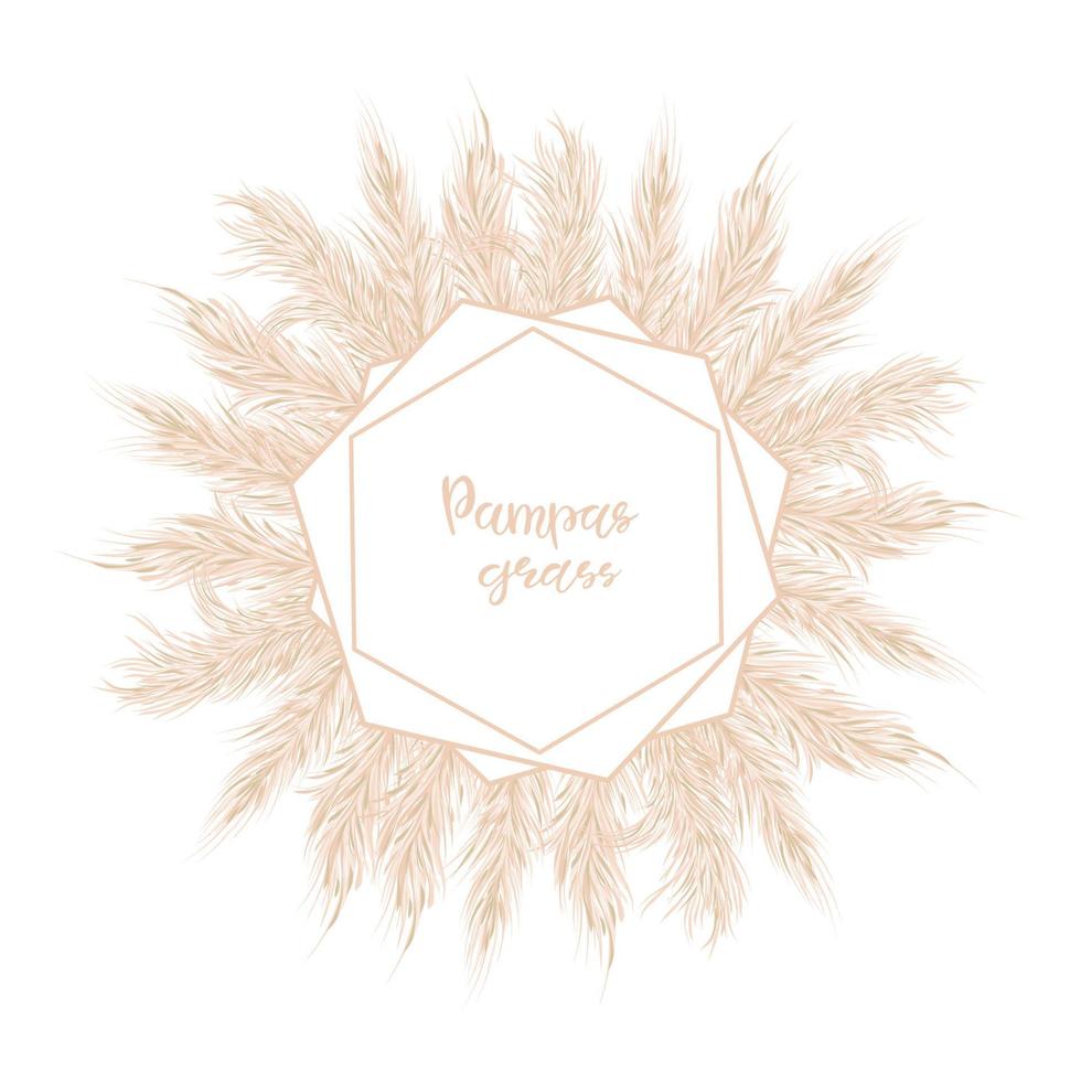 Dry Pampas grass soft  frame. For wedding invitations or postcards. Vector hand drawn illustration on a white isolated background.