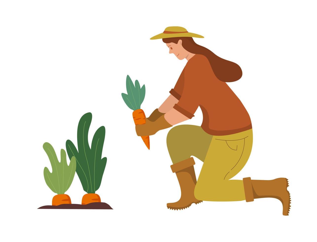 la mujer riega las plantas de una regadera. afición al jardinero agrícola. trabajar en el jardín. planta de riego de agricultores. personaje femenino de dibujos animados. cosechando verduras de zanahoria. recogiendo zanahoria. recogiendo verduras. vector