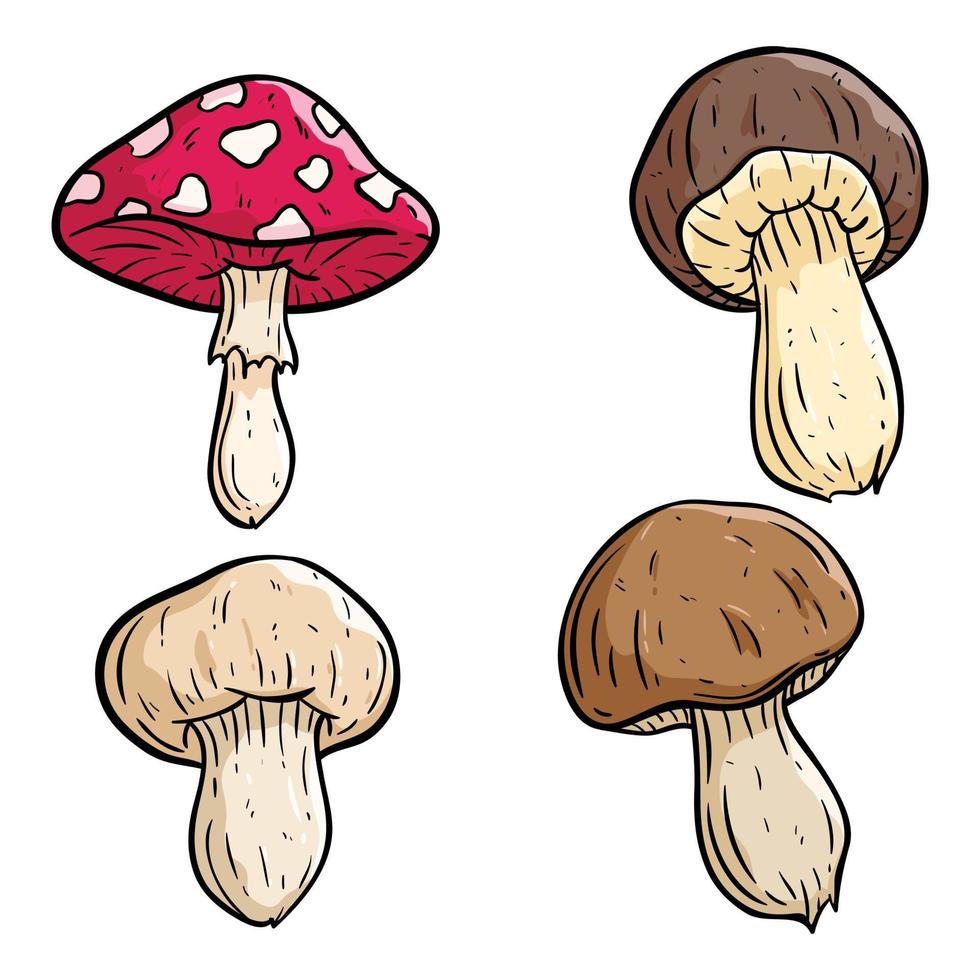 colorful mushroom collection with hand drawn style vector