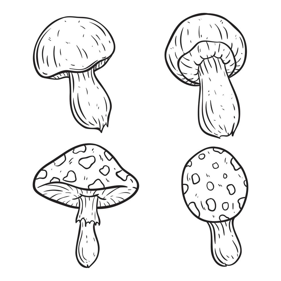 hand drawn mushroom collection on white background vector