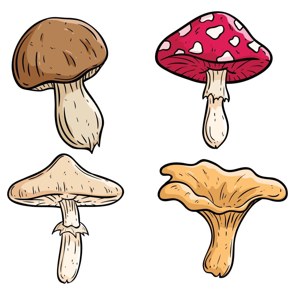 colorful mushroom collection with hand drawn style vector