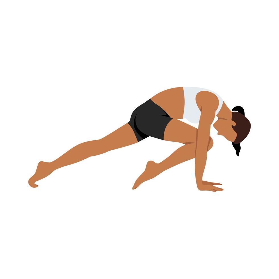 Woman doing knee to nose dog pose Kanu naasikaa ado much svanasana exercise. Flat vector illustration isolated on white background