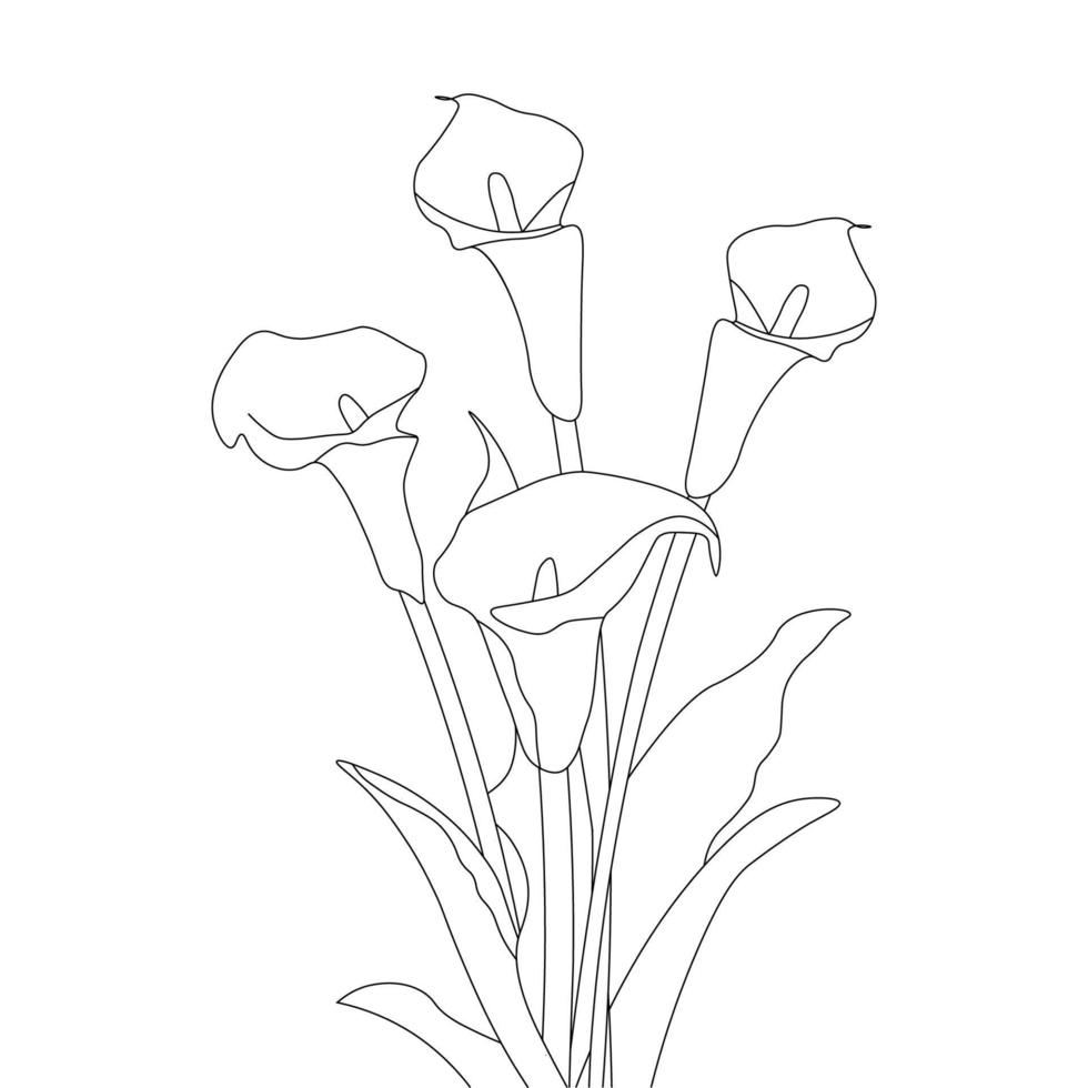 calla flower coloring page hand drawing doodle illustration blooming on black and white background vector