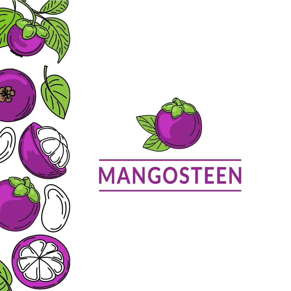 Template with mangosteens drawn with sketch style doodle elements. Whole mangosteen, parts, leaves, slices, core. Collection of fruit images. Vector illustration with space for text