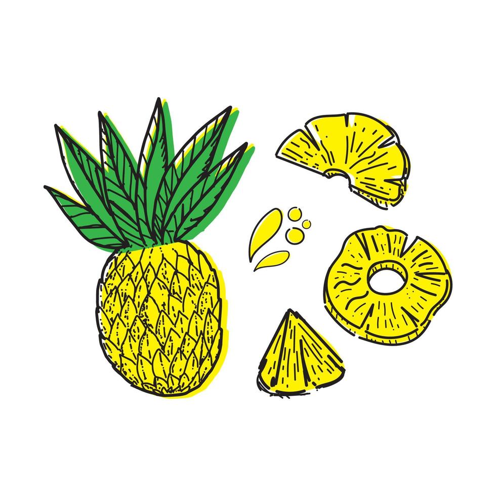 Set of pineapples, drawn doodle elements in sketch style. Whole pineapple, parts, leaves, slices, core, juice drops. Collection of fruit images. Vector illustration, isolated on white background.