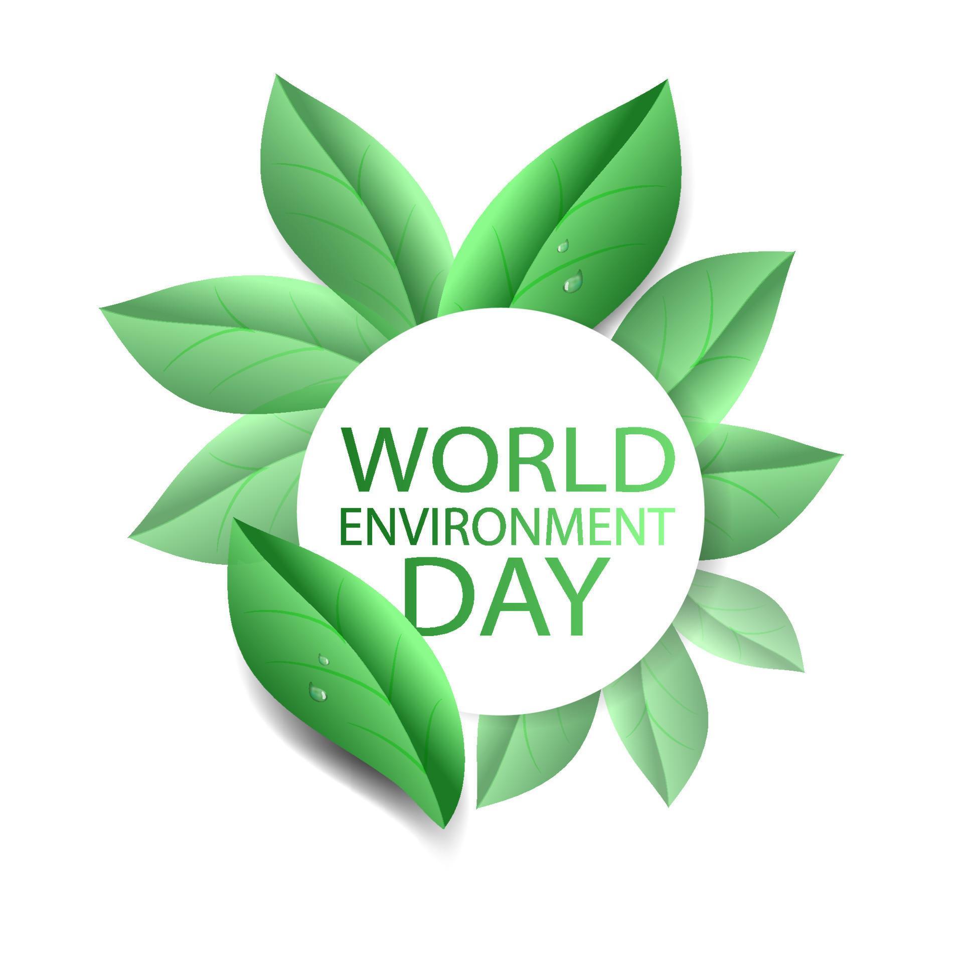 Environmental Day Concept. Dimensional green leaves in a circle. A drop