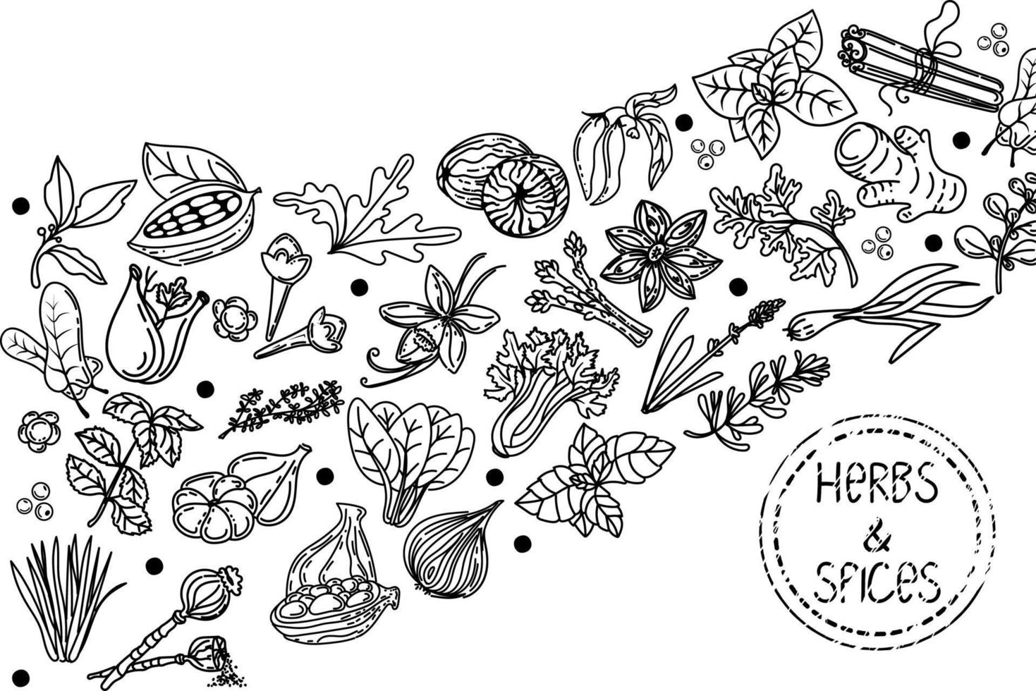 Herbs and spices, hand-drawn sketch-style elements. Hand-drawn food sketch. Aromatic plants. Package design on a white background. Sketch style. Silhouette design of spices and herbs vector