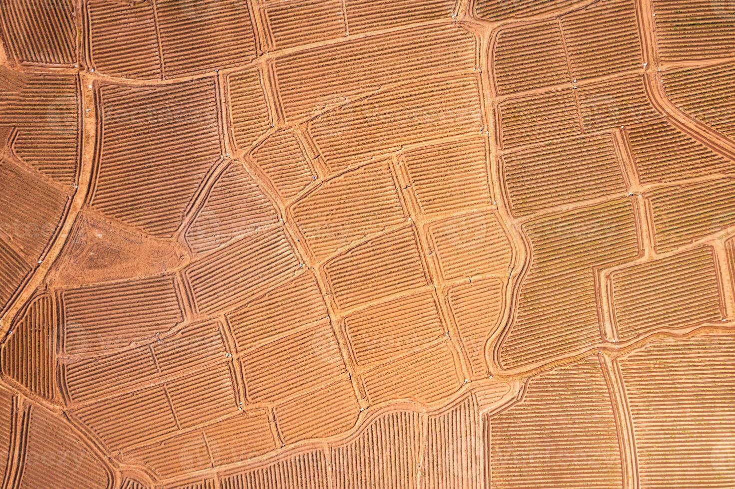 surco de suelo agrícola, campo de tierra que se prepara para el cultivo en tierras de cultivo en el campo foto