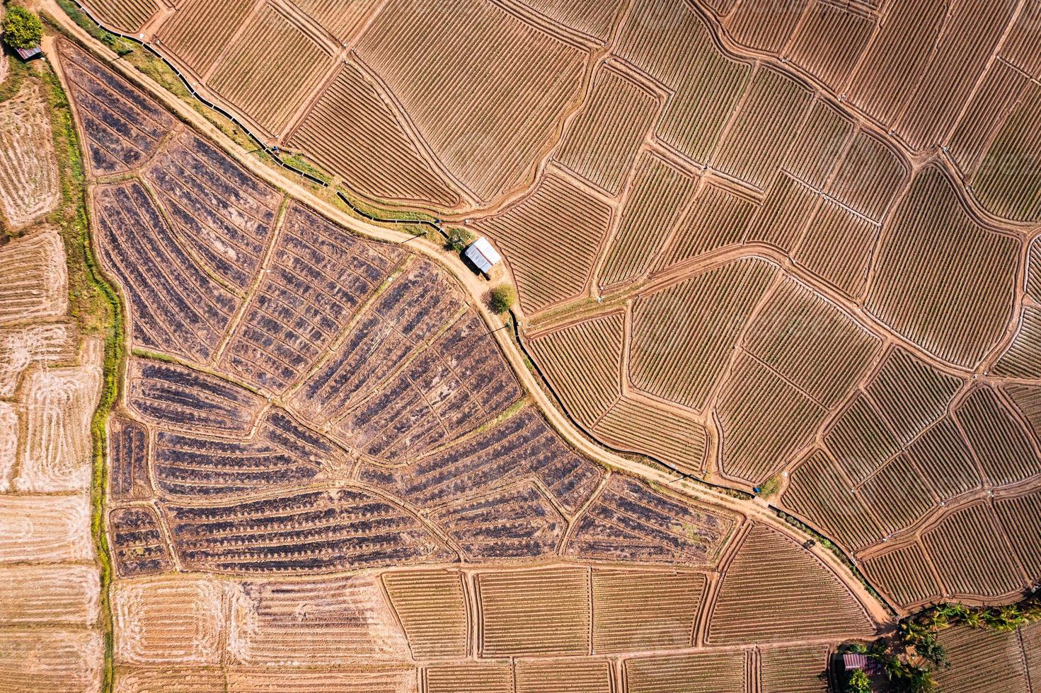 surco de suelo agrícola, campo de tierra que se prepara para el cultivo en tierras de cultivo en el campo foto