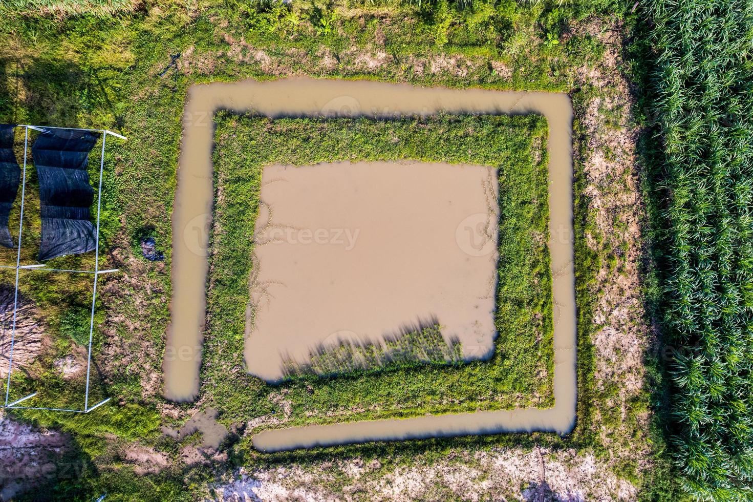 estanque agrícola rodeado de suelo y planta en plantación foto