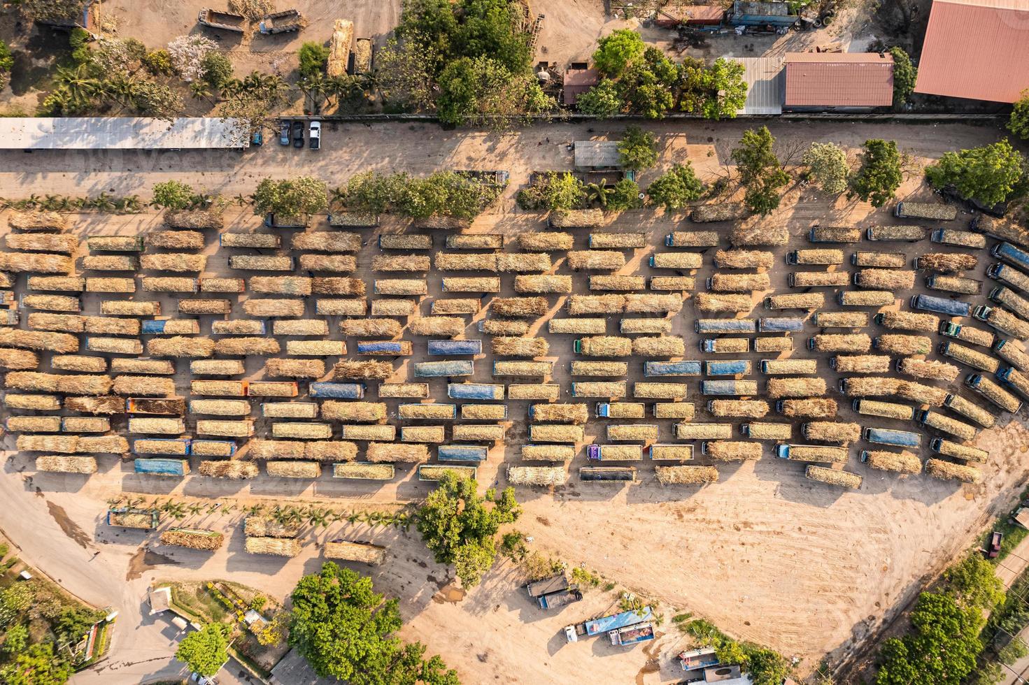 Group of sugarcane harvested truck parked queue to send the agricultural produce in industry processing plant area photo