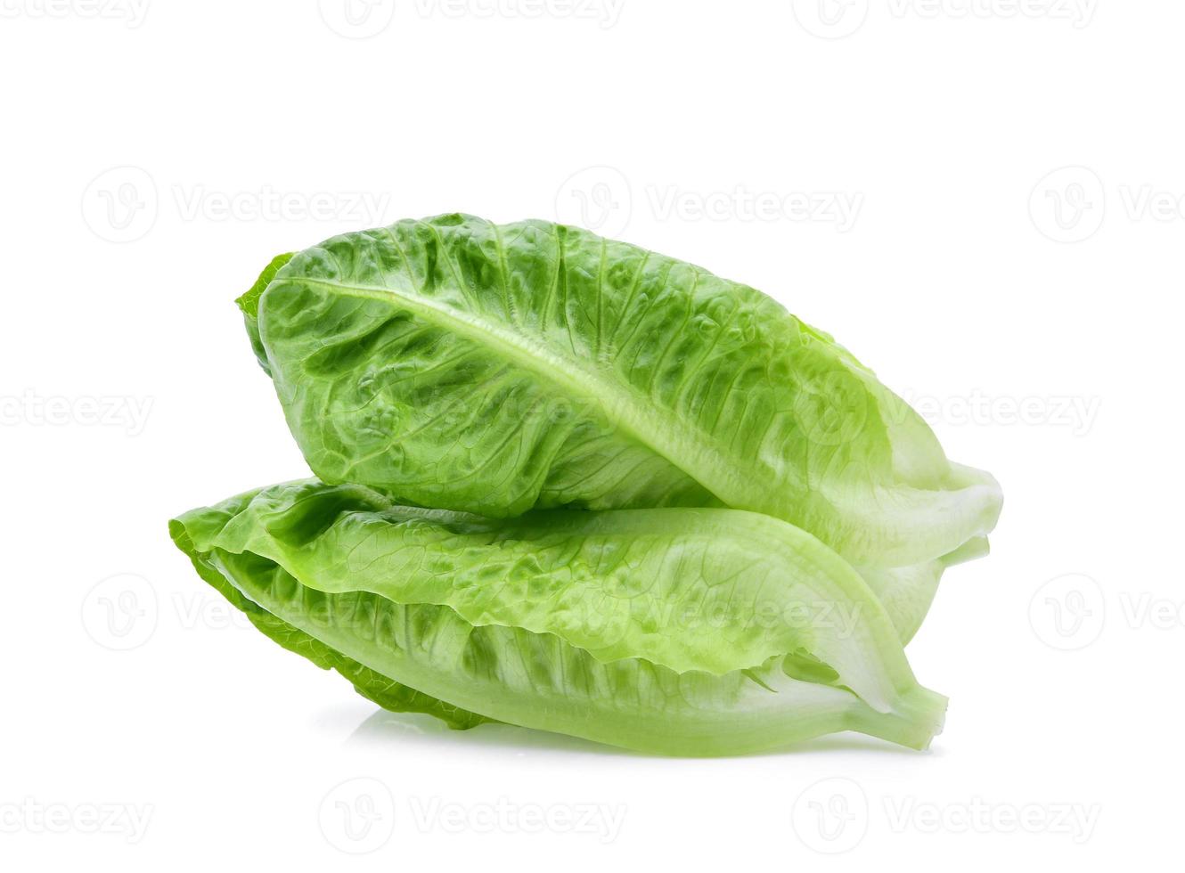 fresh baby cos,lettuce isolated on white background photo