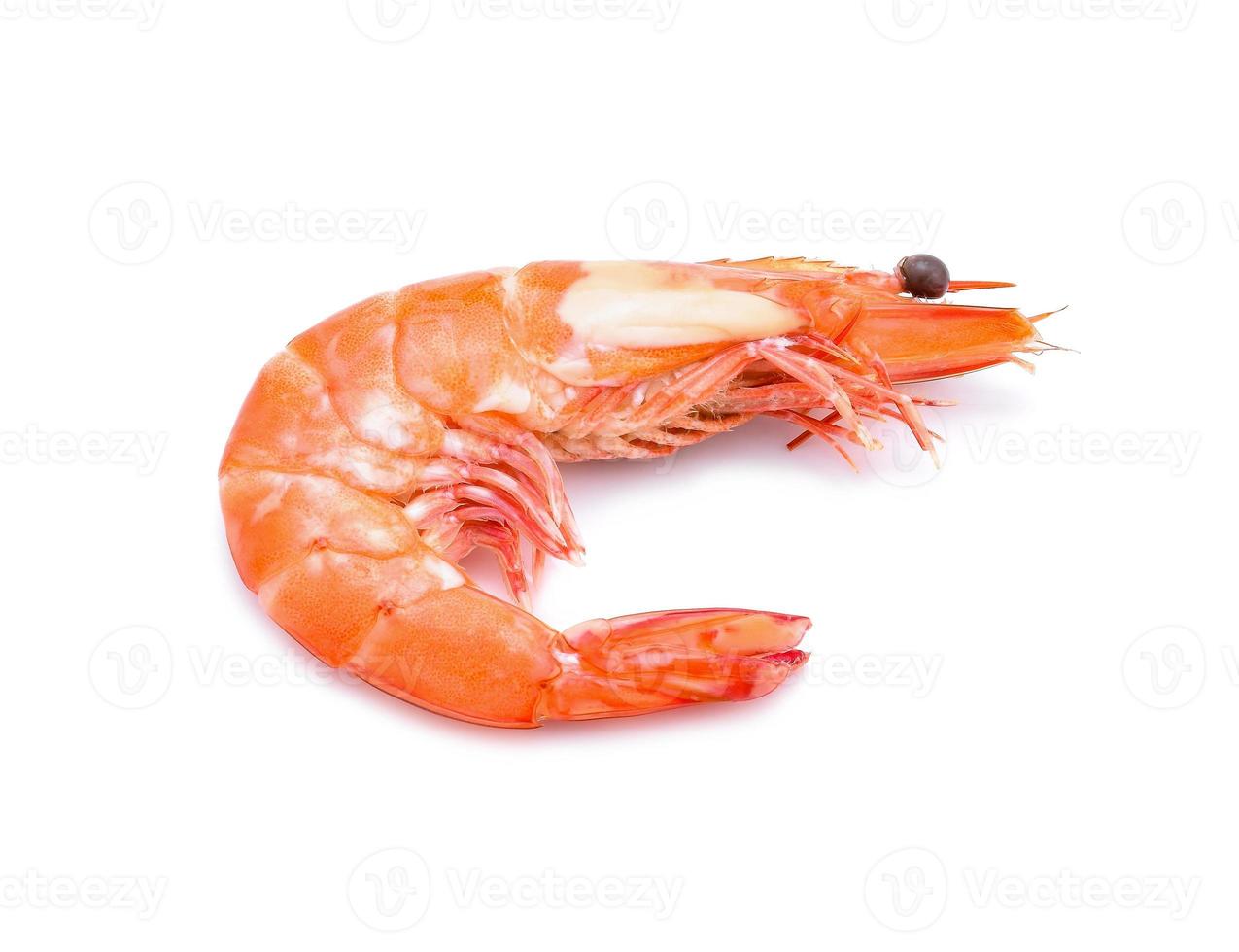 shrimps isolated on a white background photo