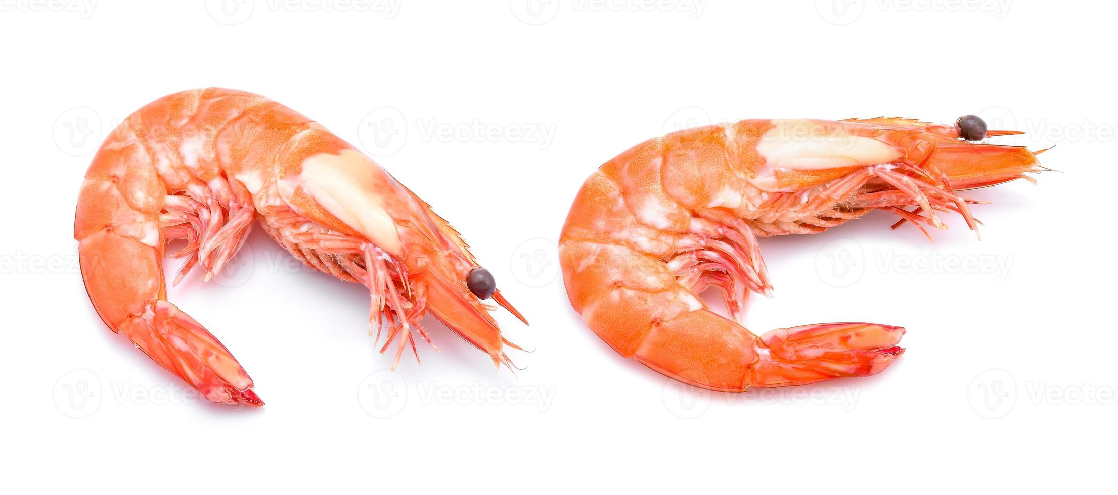 shrimps isolated on a white background photo