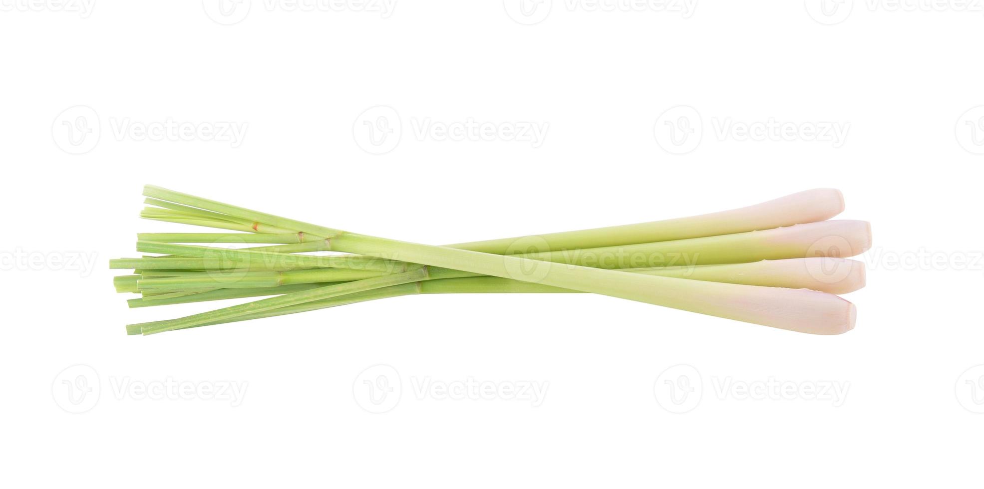 Lemongrass isolated on white background photo